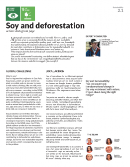 Soy and Deforestation